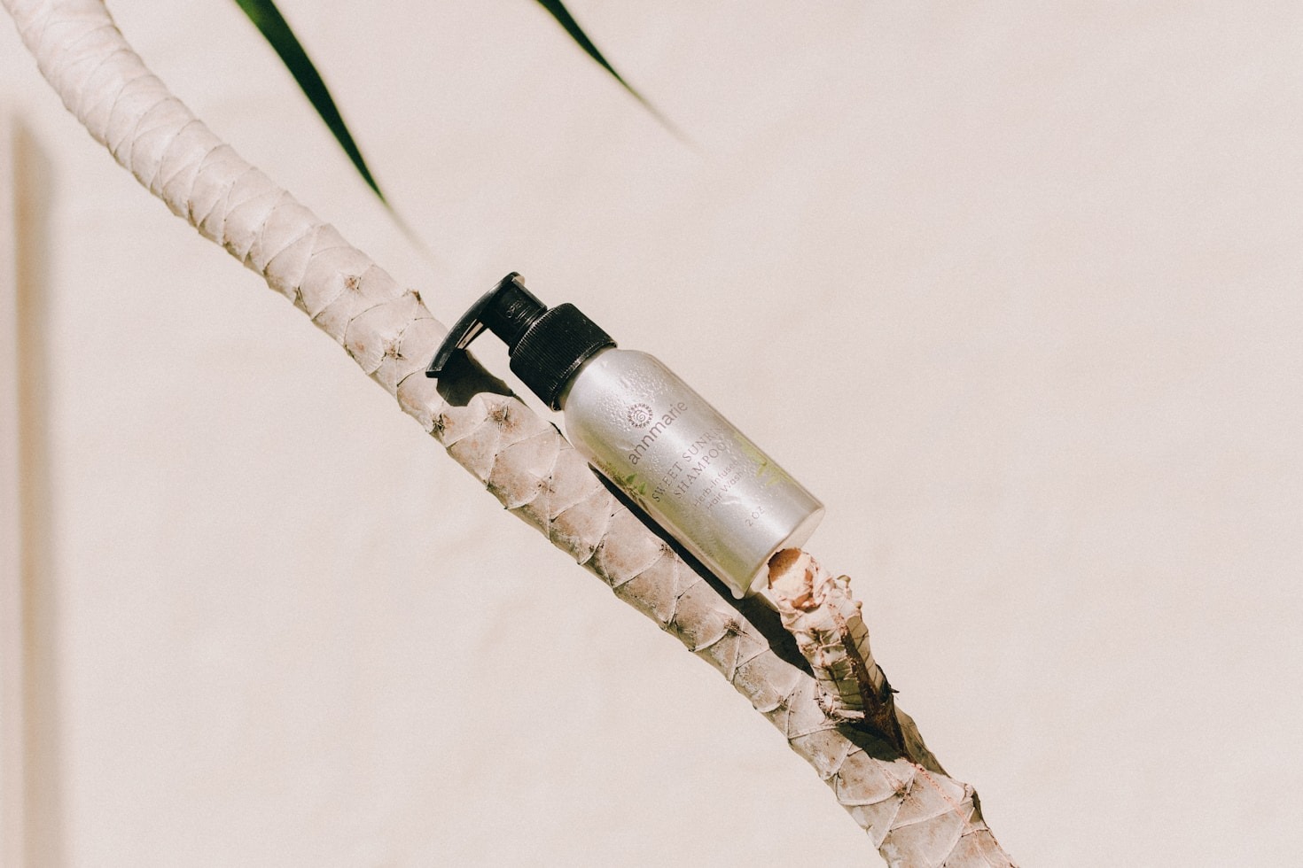 Spotlight on Best-Selling Anti-Aging Products